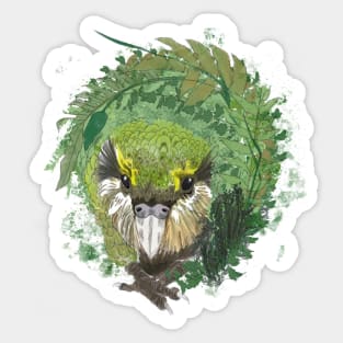 kakapo Sticker